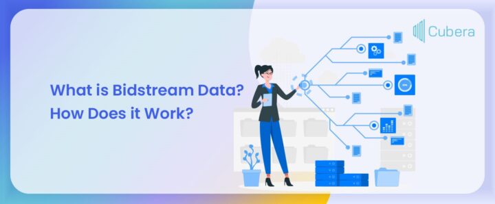 Bidstream data and its relevance - Cubera